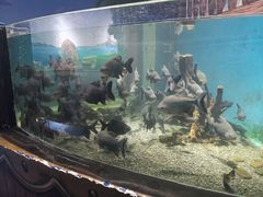 -沙沙哗啦海洋馆(华宇百花谷店)