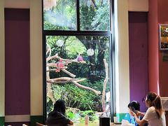 -熊猫自助餐厅.萌趣城堡(长隆熊猫酒店)