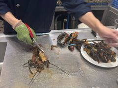 -半岛听涛蒸汽海鲜自助(K11店)