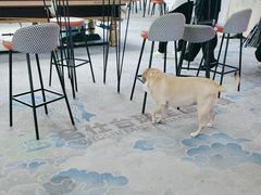 -名仕台球(保利广场店)