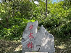 -蟒山国家森林公园天池停车场