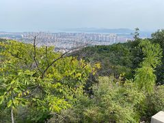 -府君山公园