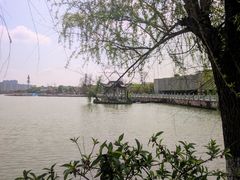 -八大山人梅湖景区