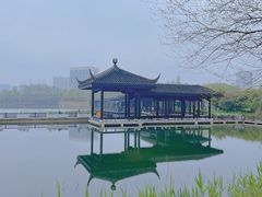 -洋湖国家湿地公园