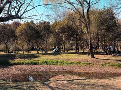 -蜀冈西峰生态公园