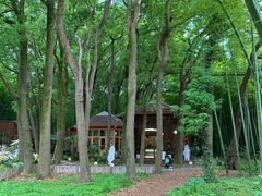 -同里国家湿地公园