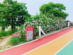 -贡湖湾湿地公园