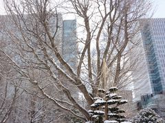 -北海道厅旧本厅舍(旧本庁舎)