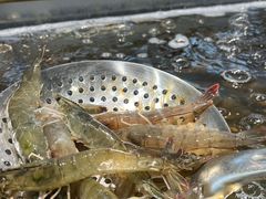 -半岛听涛蒸汽海鲜自助(K11店)