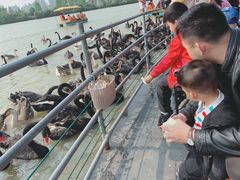 -艾溪湖湿地公园