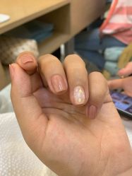 -ALNL清莲爱丽