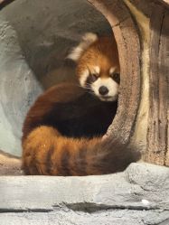 -Zoolung Zoolung动物主题公园(海信广场店)