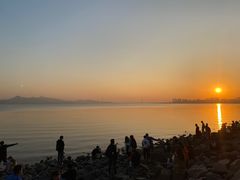 -深圳湾公园(南山区)