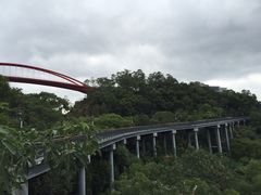 -金鸡山公园