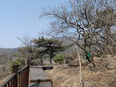 -北京十三陵国家森林公园蟒山景区