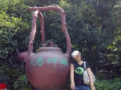 20090920585-湖畔居茶楼(湖滨店)