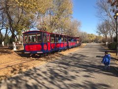 -永定河休闲森林公园