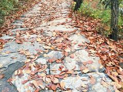 -北京上方山国家森林公园