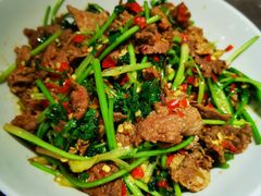 香菜炒牛肉-壹盏灯(惠农店)