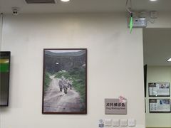 -美联众合动物医院·24h转诊中心