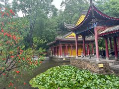 -华清宫景区