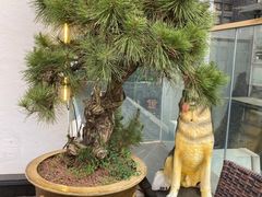 -弘馆·镜湖印象