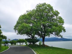 -东钱湖小普陀景区