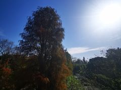 -随意茶庄·地道杭帮农家菜(梅家坞店)