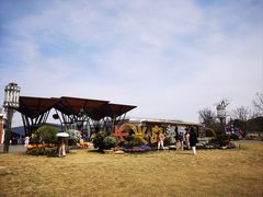 -上海长兴岛郊野公园