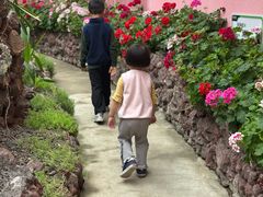 -正佳雨林生态植物园