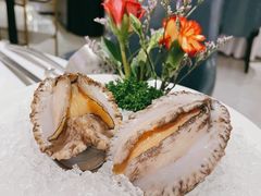 六头鲍鱼-红雀围·海鲜火锅(陆家嘴中心店)