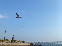-星海广场