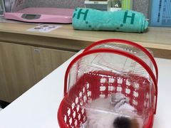 -谐和贝康宠物医院24小时·宠保定点(急重症转诊中心)