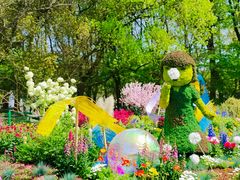 -上海共青森林公园