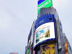 -涩谷区