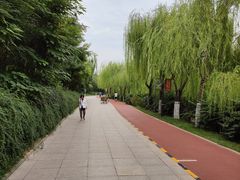 -南翠屏公园