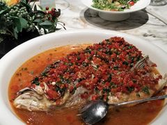 -东方红酒楼(知春路店)