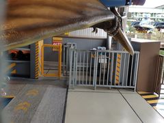 -飞天翼龙