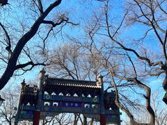 -北京国子监胡同