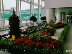 -杭州萧山国际机场