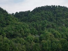 -中国茶叶博物馆(双峰馆区)