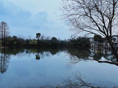 -新荣记(西溪湿地店)