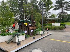 -金水鹤温泉国际酒店