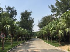 -汕头中海黄金海岸水上乐园