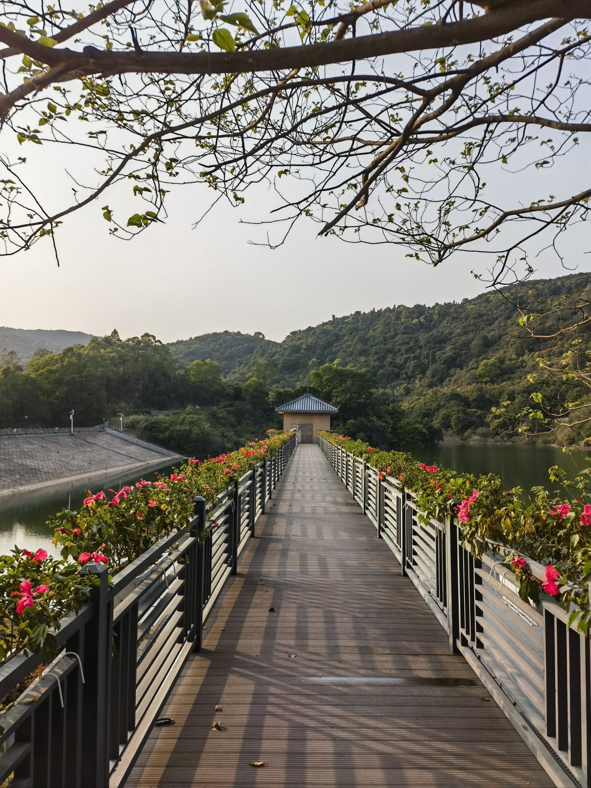 6km徒步黄浦区水声水库