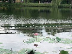 -承德避暑山庄景区