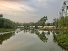 -东郊湿地公园