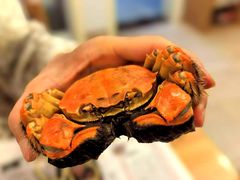 -阳澄湖大闸蟹·琼灵阁牌品牌连锁(吴中总店)