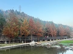 -白水寺森林公园