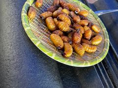 -竹泉农庄·竹筒饭(从化店)